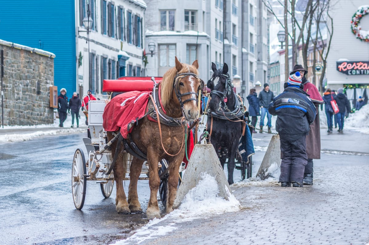 Une calèche dans une rue enneigée du Vieux-Québec