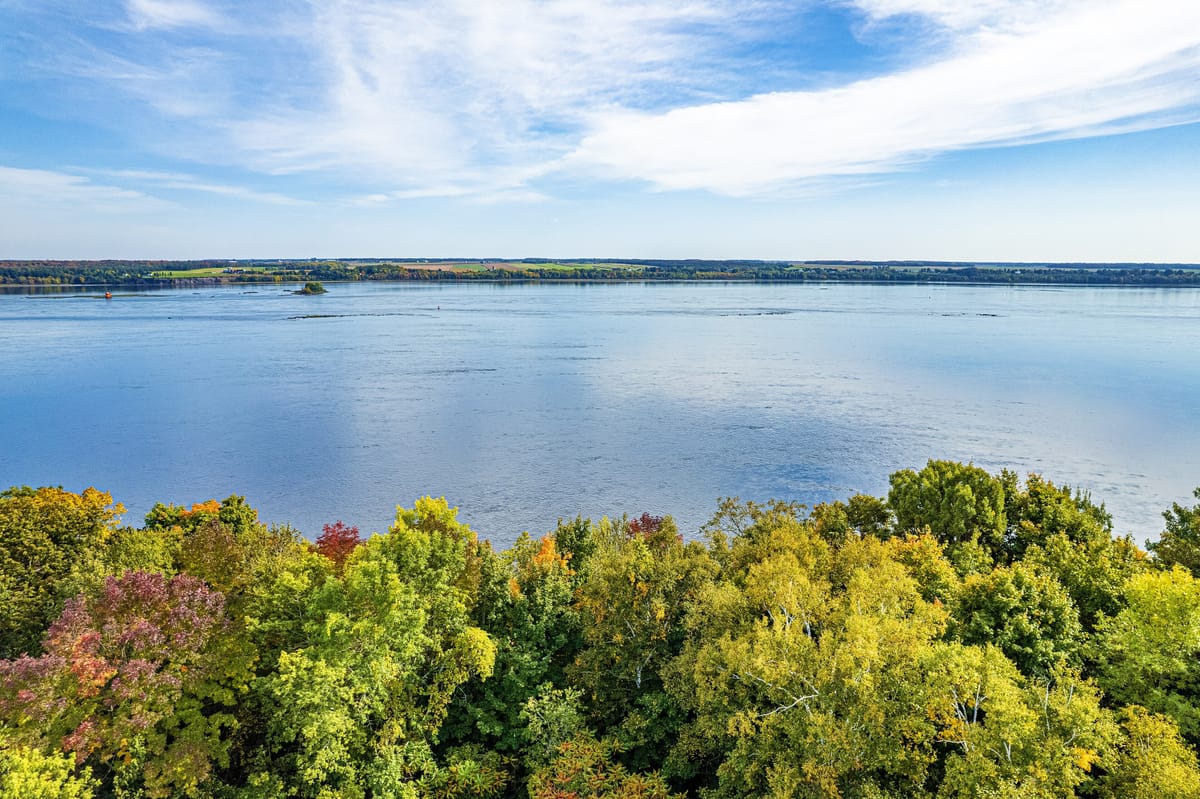 Le fleuve Saint-Laurent, calme, bordé d’arbres en automne